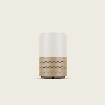 Pet Air Purifier