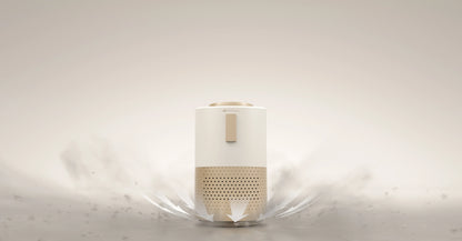 Pet Air Purifier