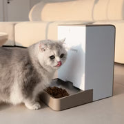 Automatic Pet Feeder