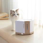 Pet Water Fountain